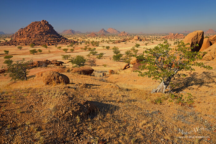 Bagan in Namibia? Foto: © S. Grünig