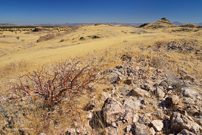 Namibias vielseitige Landschaften Foto: © S. Grünig