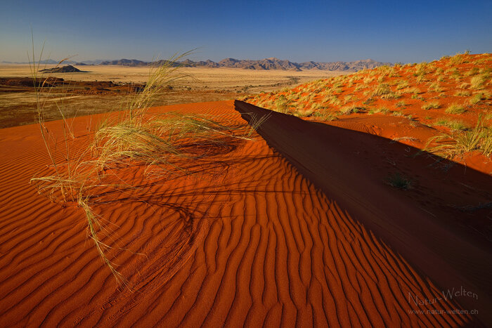 Abschied von der Namib Foto: © S. Grünig