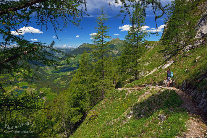 Genusswandern Foto: © S. Grünig