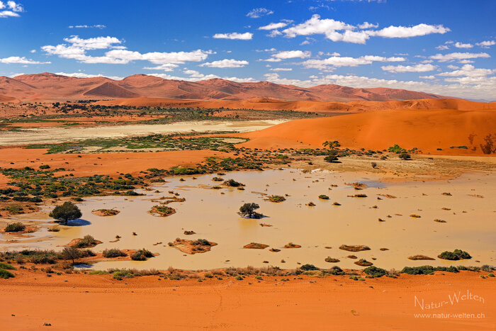 Wasser im Vlei Foto: © S. Grünig
